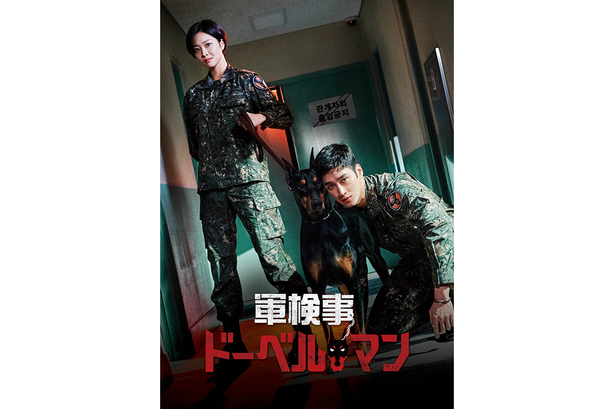 韓国ドラマ『軍検事ドーベルマン』|韓国ドラマ『軍検事ドーベルマン』