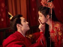 中国ドラマ『宮廷衛士の花嫁』|中国ドラマ『宮廷衛士の花嫁』|中国ドラマ『宮廷衛士の花嫁』|中国ドラマ『宮廷衛士の花嫁』