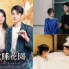 中国ドラマ『沈睡花園 シークレット・メモリーズ』|中国ドラマ『沈睡花園 シークレット・メモリーズ』|中国ドラマ『沈睡花園 シークレット・メモリーズ』|中国ドラマ『沈睡花園 シークレット・メモリーズ』|中国ドラマ『沈睡花園 シークレット・メモリーズ』